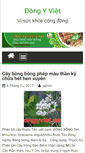 Mobile Screenshot of dongyviet.net